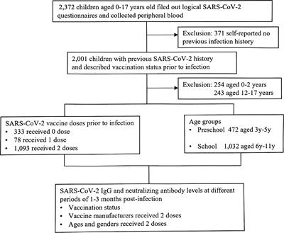 Pediatric population (aged 3-11 years) received primary inactivated SARS-CoV-2 vaccination prior to infection exhibiting robust humoral immune response following infected with Omicron variant: a study conducted in Beijing